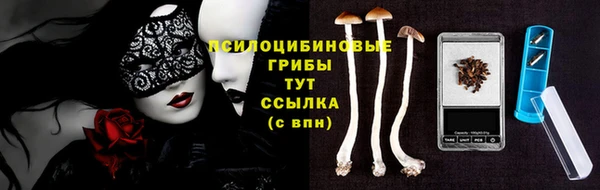 apvp Покачи
