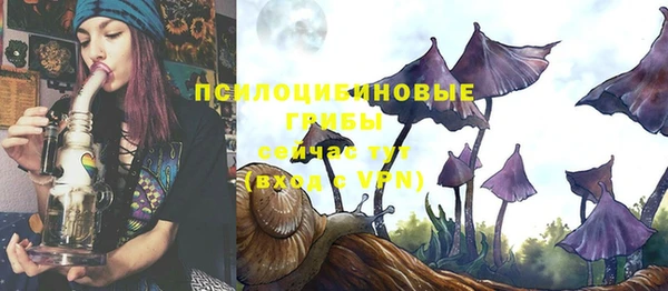 мяу мяу мука Абдулино